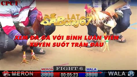 sabong 67|C1 THOMO 26/01/2024 – HUẾ VS LONG AN .